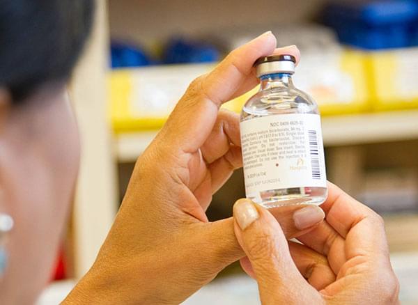 Intoxication chez le chien ou le chat : les bons réflexes